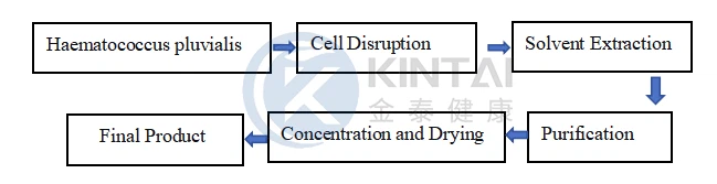 17749271329065 17749271329065