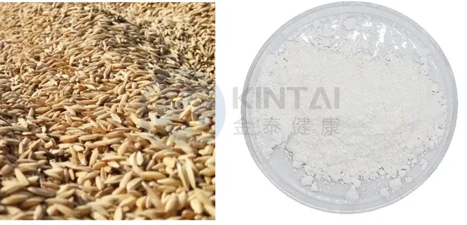 Healthkintai® Gamma Oryzanol Powder Healthkintai® Gamma Oryzanol Powder