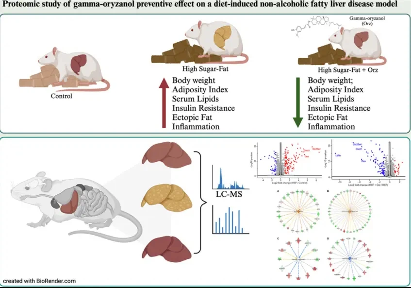 Gamma Oryzanol Gamma Oryzanol